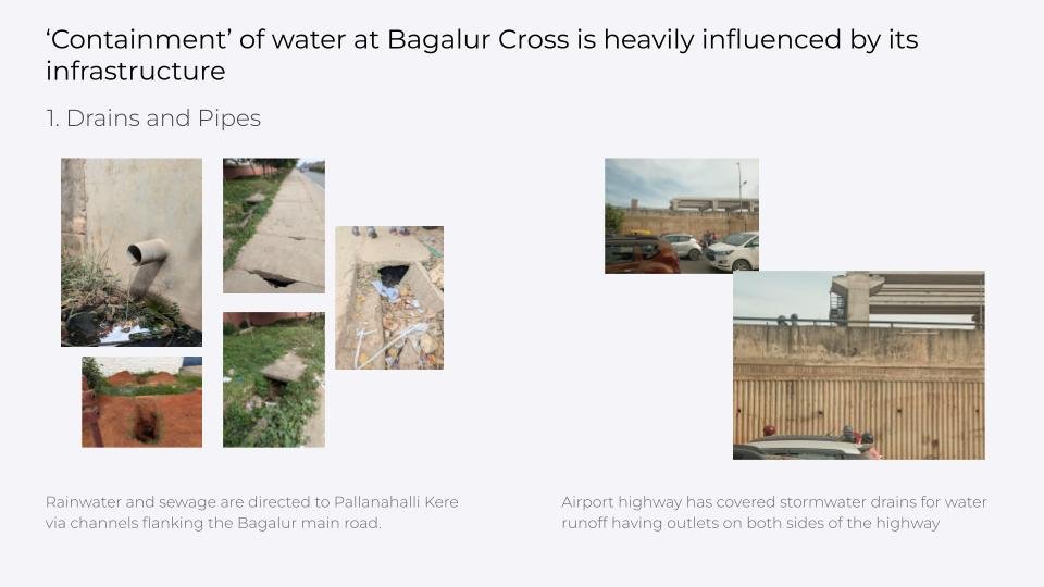 Field observation slide 4